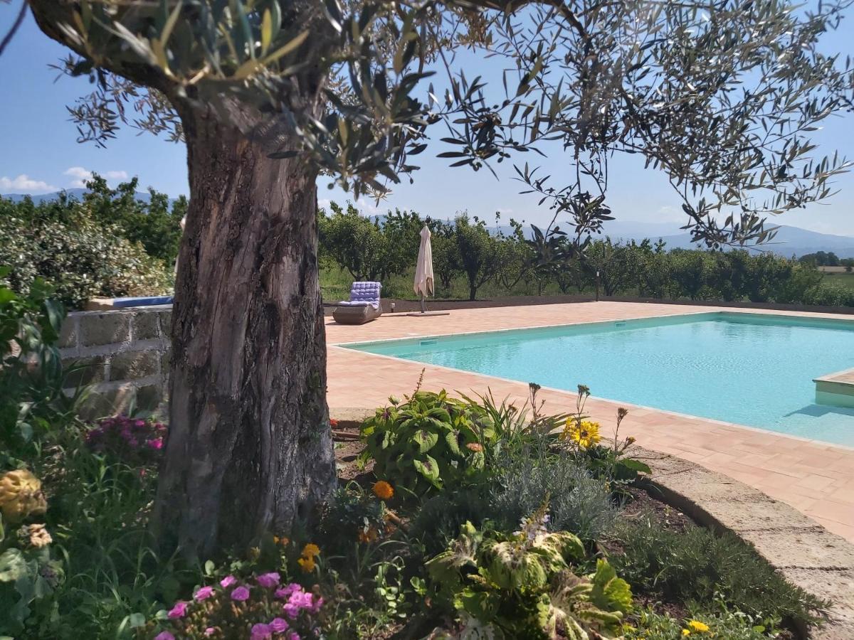 Tenuta Terre Dei Latini Alloggio per agriturismo Segni