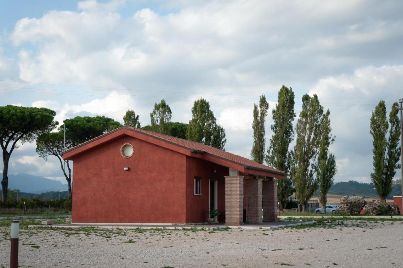 Tenuta Terre Dei Latini * Segni
