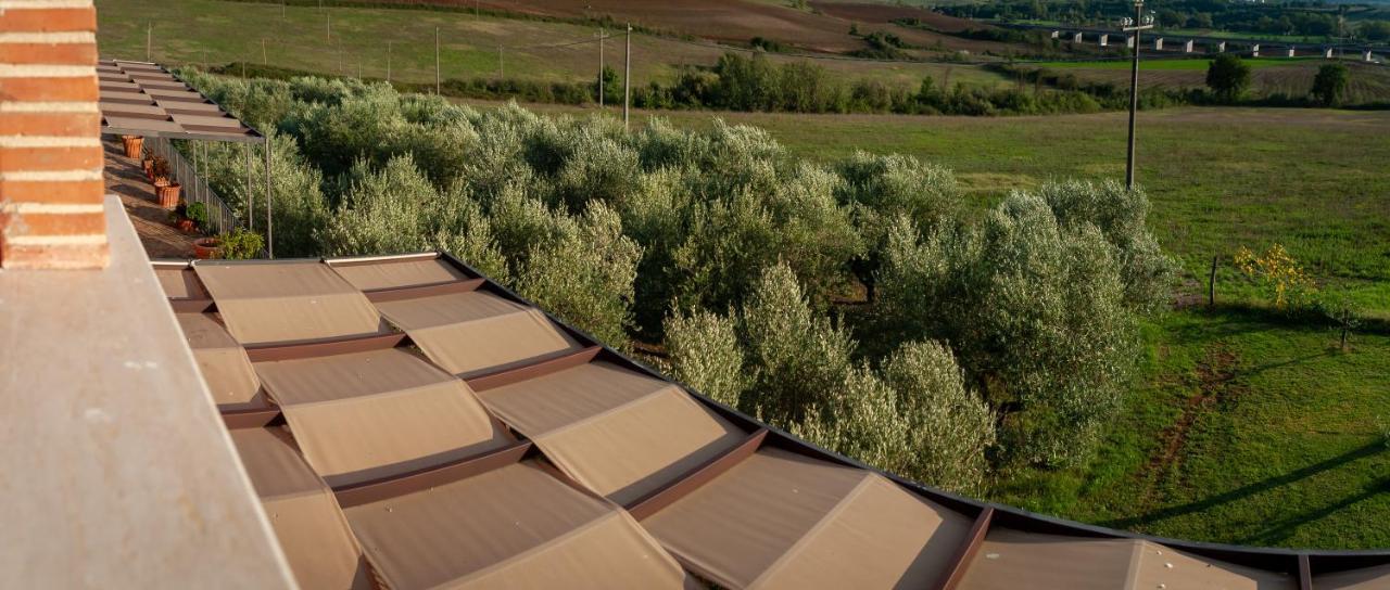 Tenuta Terre Dei Latini Alloggio per agriturismo Segni