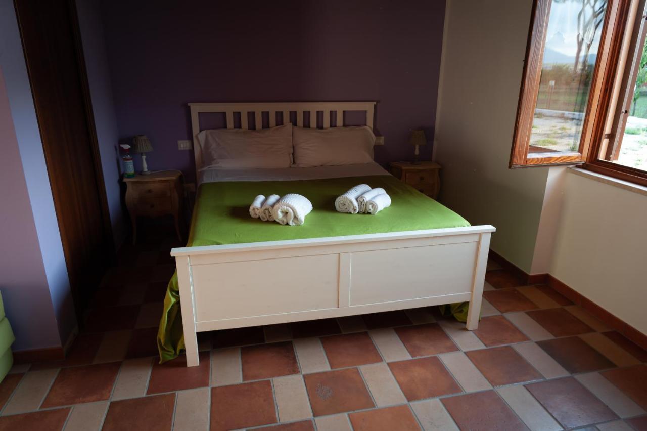 Tenuta Terre Dei Latini Alloggio per agriturismo