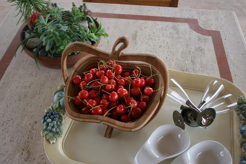 Tenuta Terre Dei Latini * Segni
