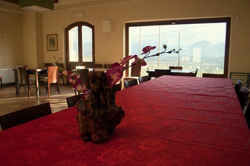 Tenuta Terre Dei Latini Segni